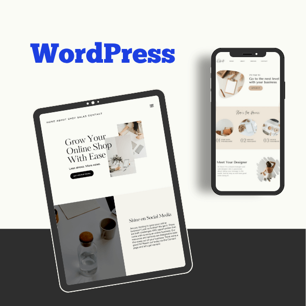 Devolity.com WordPress Design Development img